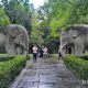 石象之
