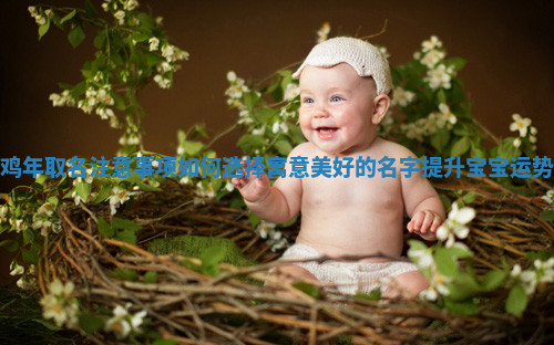 鸡年取名注意事项如何选择寓意美好的名字提升宝宝运势